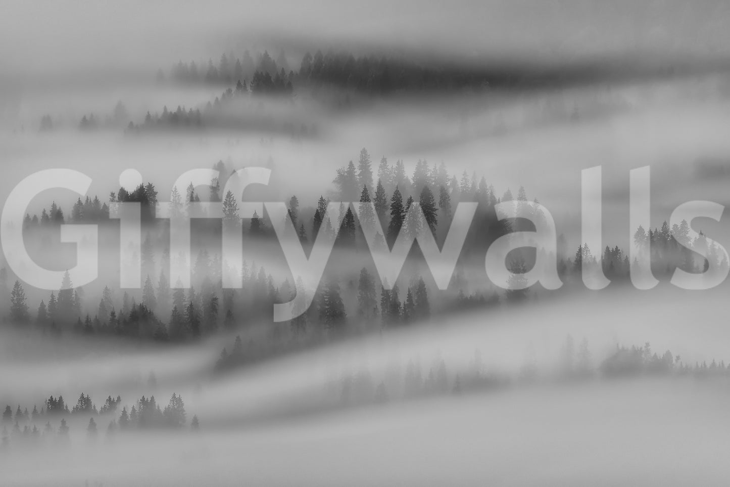 Seamless Misty Forest panorama mural, stunning monochrome design.