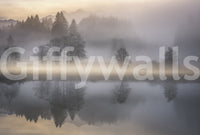 Romantic, vaporous forest edge mural of the majestic Woodland Dawn Reflection.