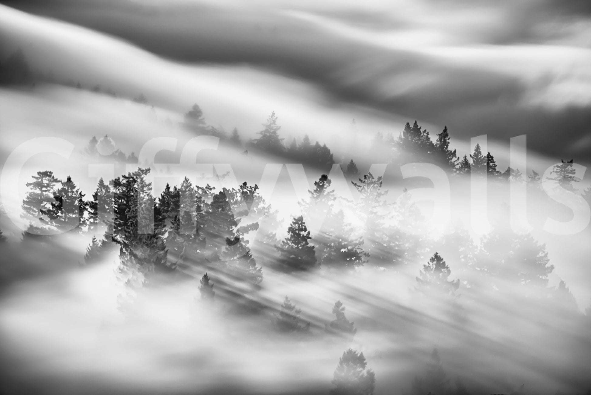 Peaceful Woodland Mist wallpaper, beautiful fog movement, mysterious woods, calming effect.