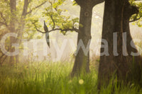 Dense green Enchanted lush Forest forest wallpaper decoration.