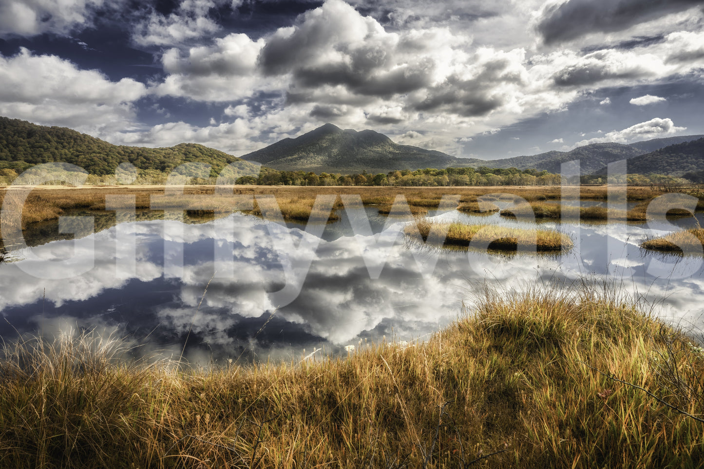 Reflected Vista Wall Mural