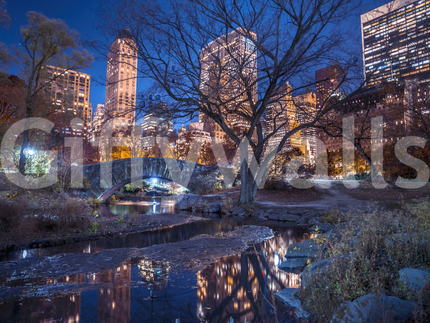 Central Park at Night Wall Mural