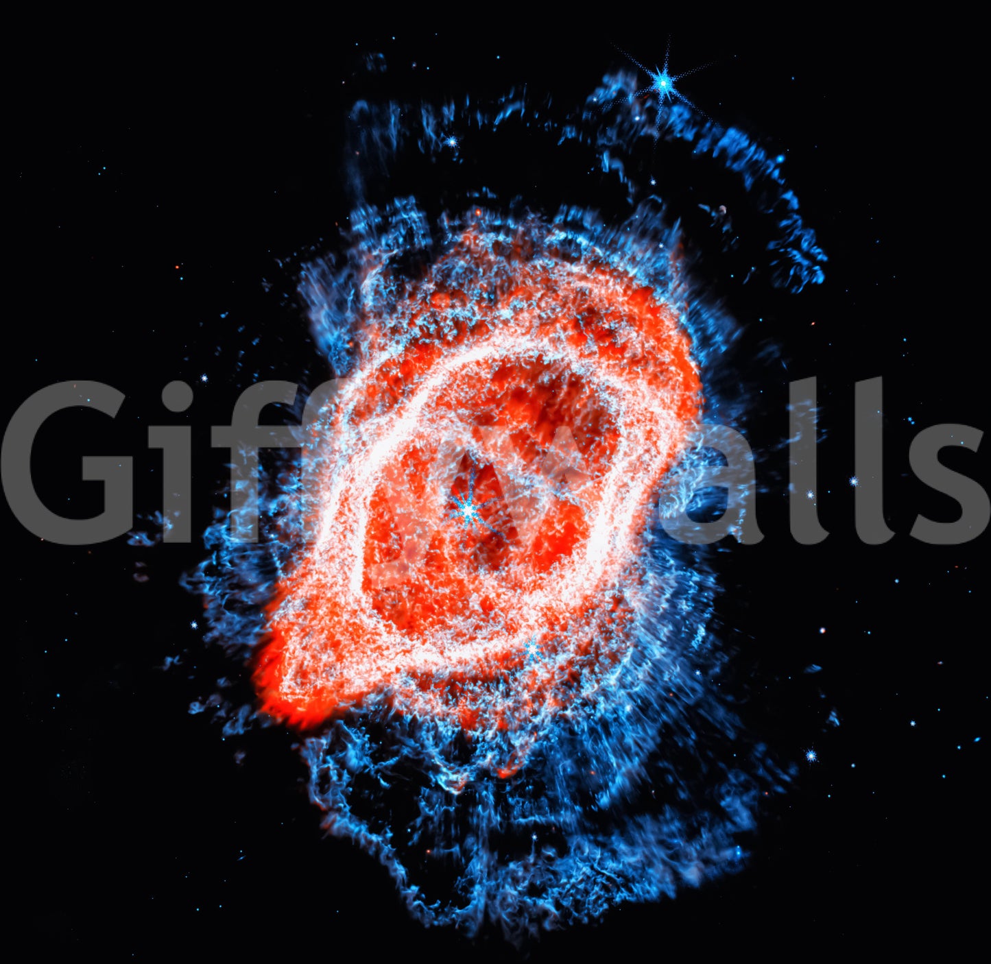 Cosmic Bloom Wall Mural