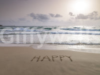 Beach wall mural showing waves touching sand