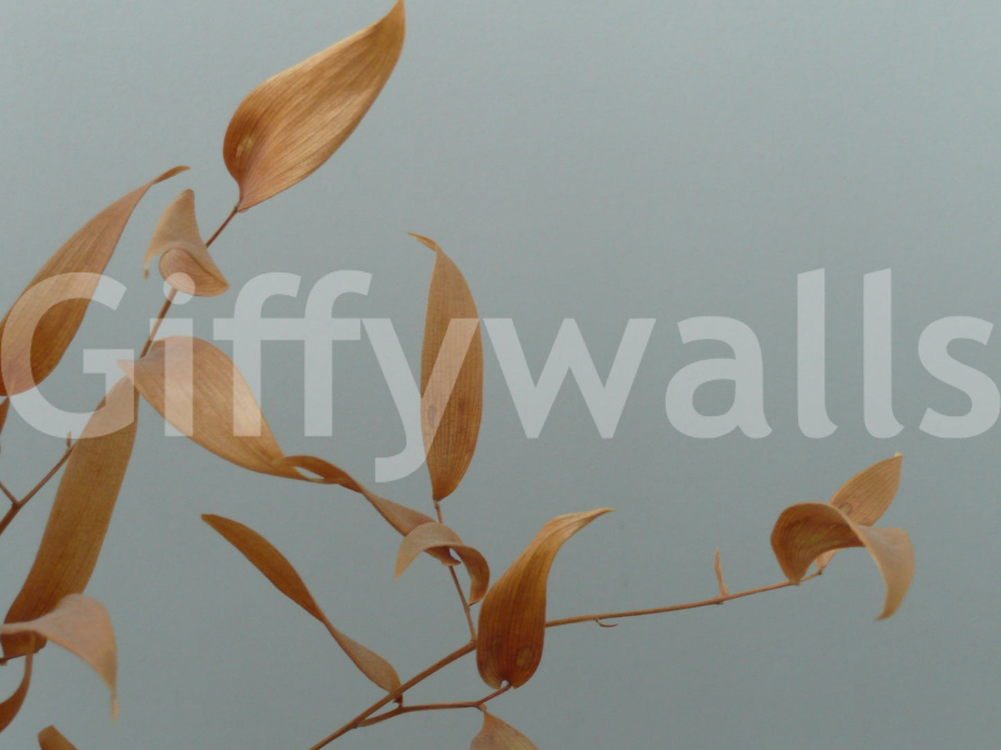 Minimalist leaf pattern wallpaper for a dining room.