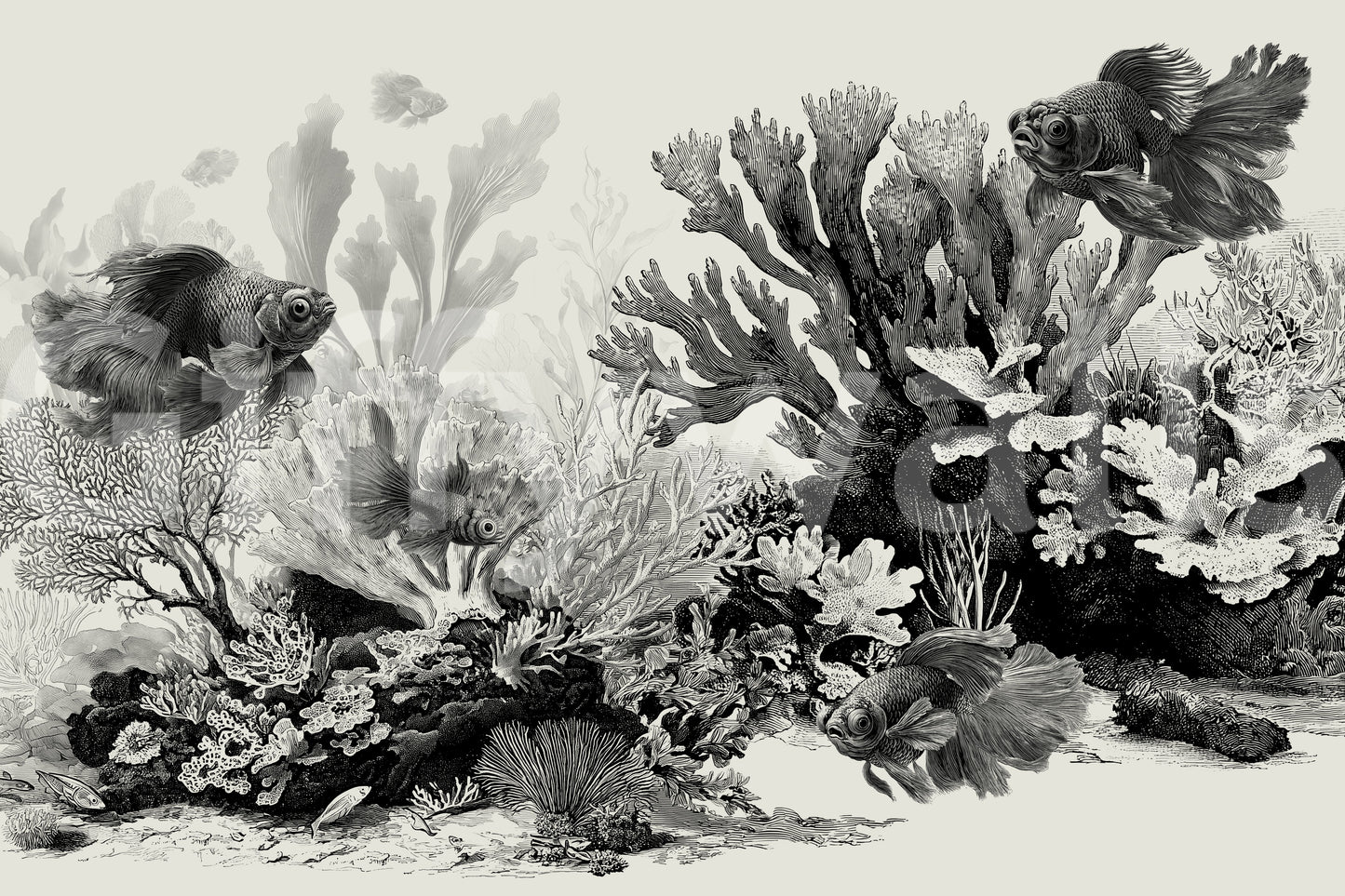 Fine line black ink drawing of oceanic plants.