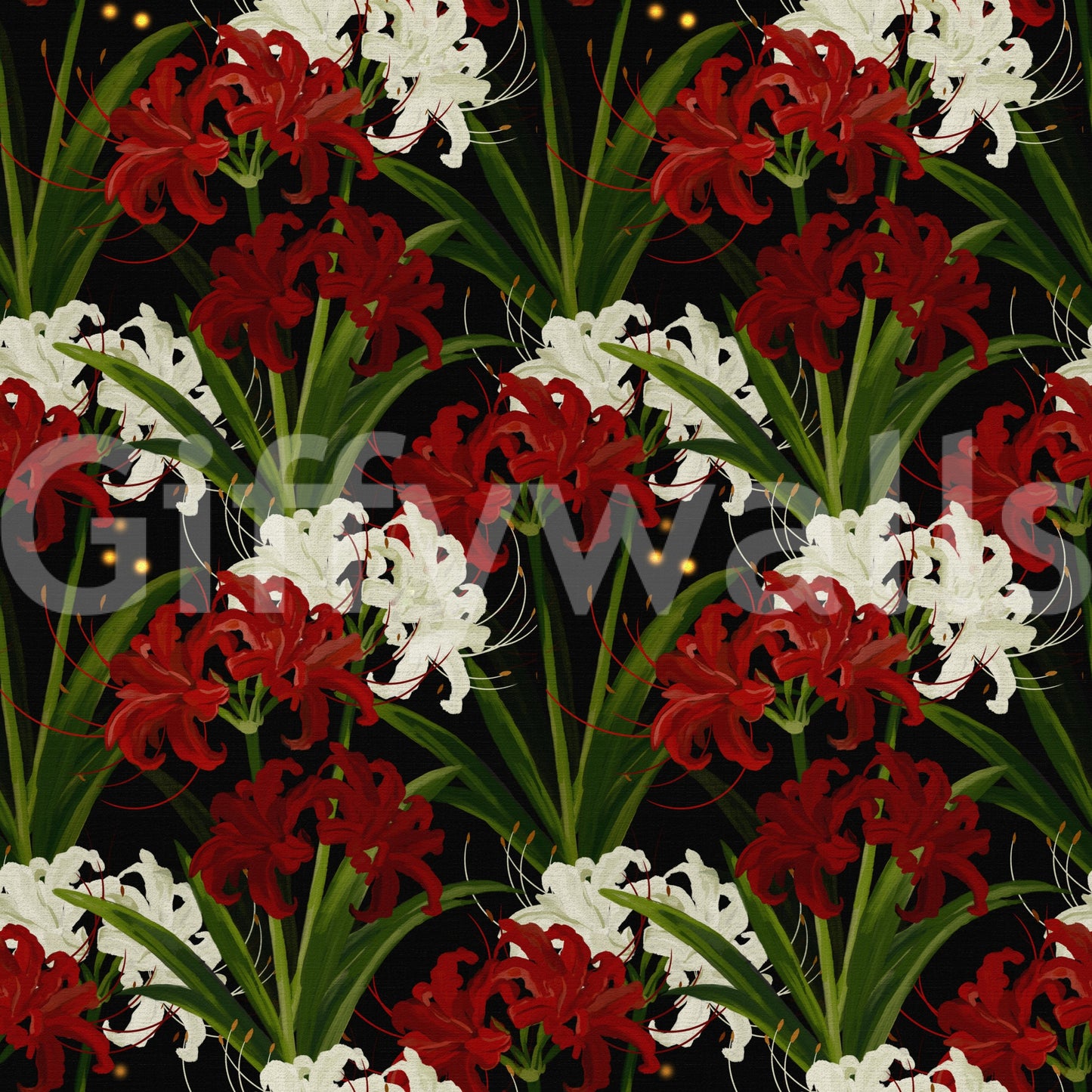 Lycoris Noir Midnight Romance white red flowers bloom Wall Mural