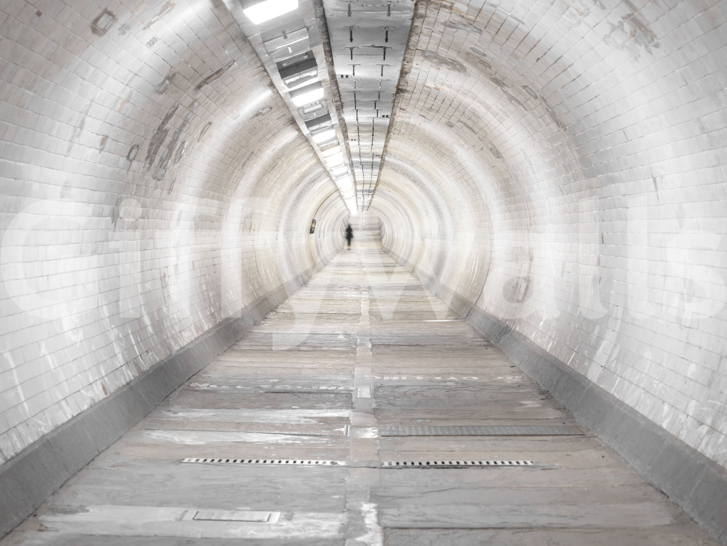 Secret Passages Wall Mural