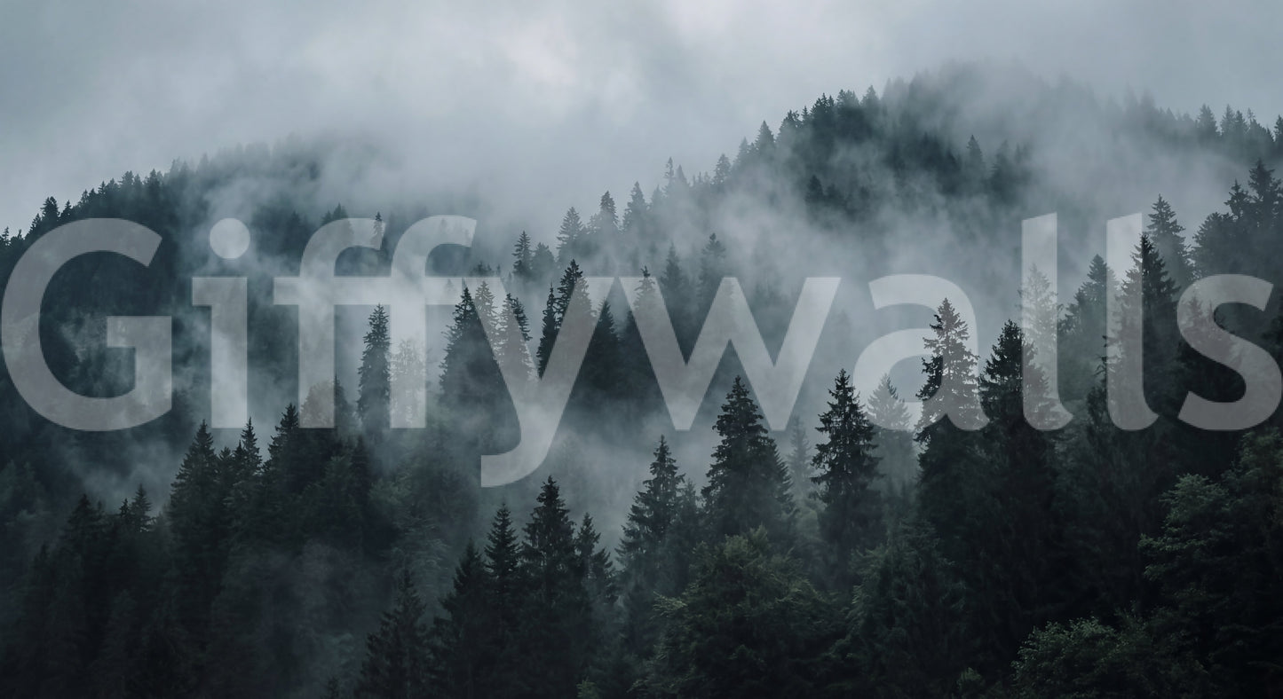 Misty Forest Ascent Wall Mural