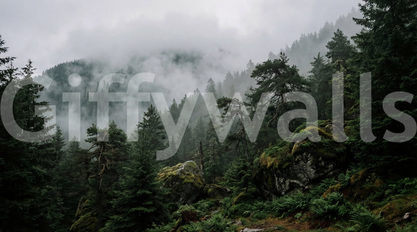 Misty Forest  Wall Mural