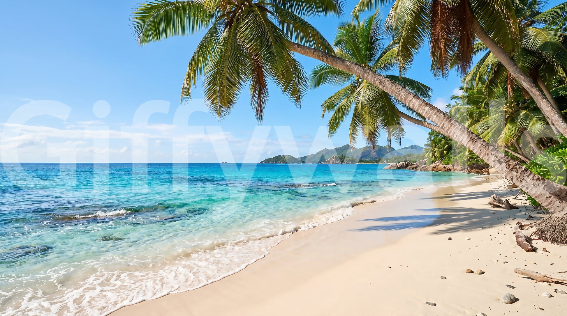 Crystal water clarity shown in full width across this tropical wall mural