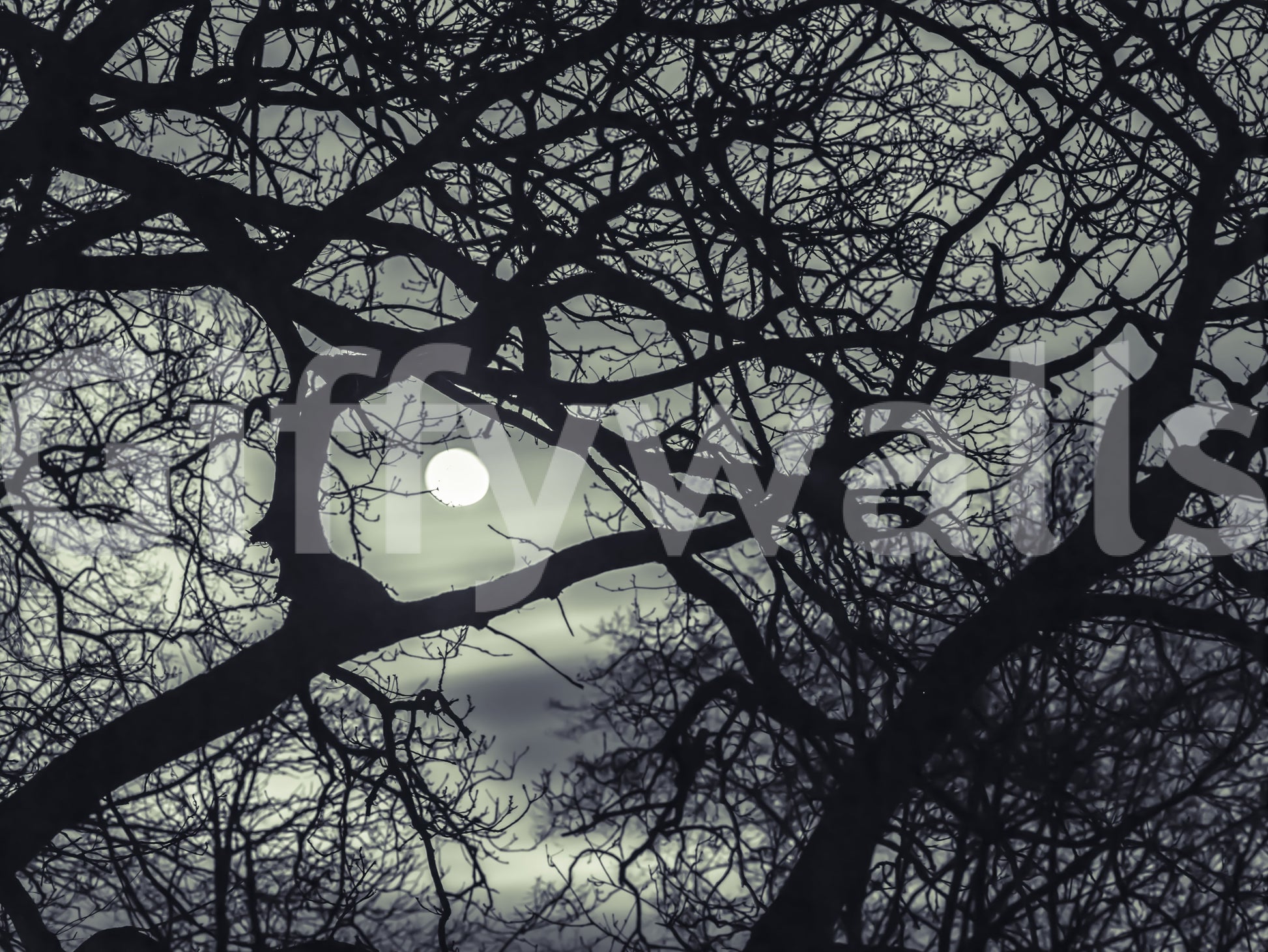 Gothic moon and branch wall mural in dark teal and blue-grey tones, GD9749