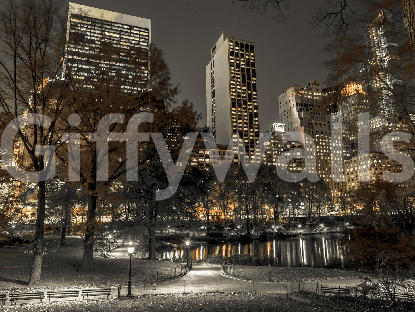 Reflecting pond and autumn trees in the New York night wall mural