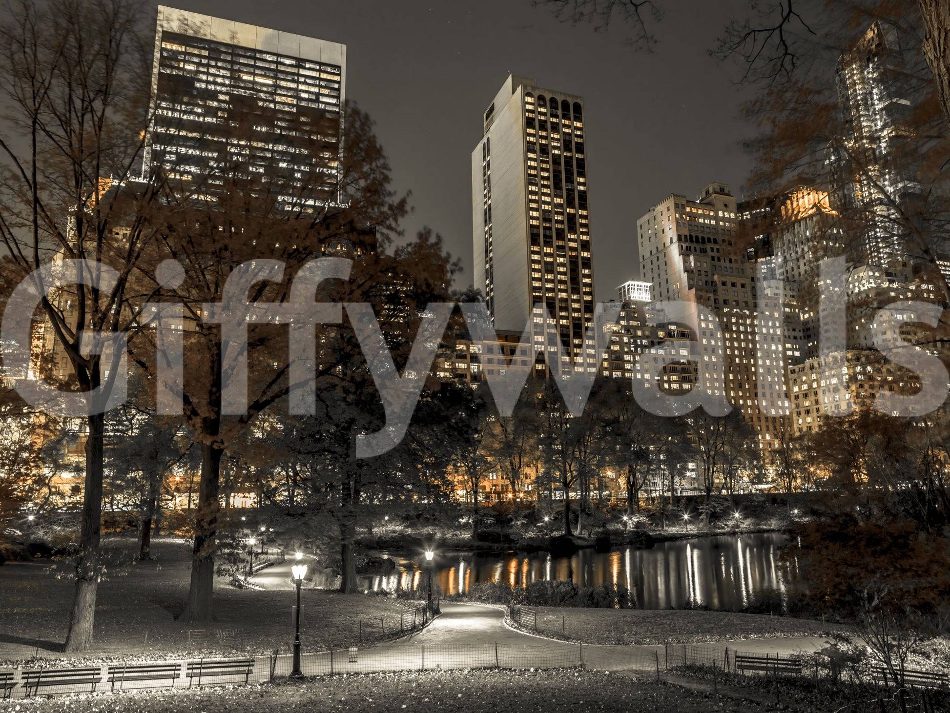 Reflecting pond and autumn trees in the New York night wall mural