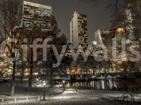 Reflecting pond and autumn trees in the New York night wall mural