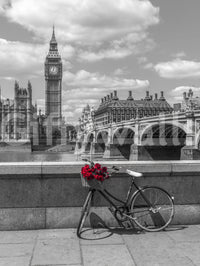 London Love: Monochrome & Red Roses Wall Mural