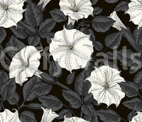 Contrast white flowers and grey leaves on a dark Moonflowers Wallpaper., GD9833