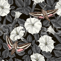 White moonflower blooms and sphinx moths on a seamless wallpaper.