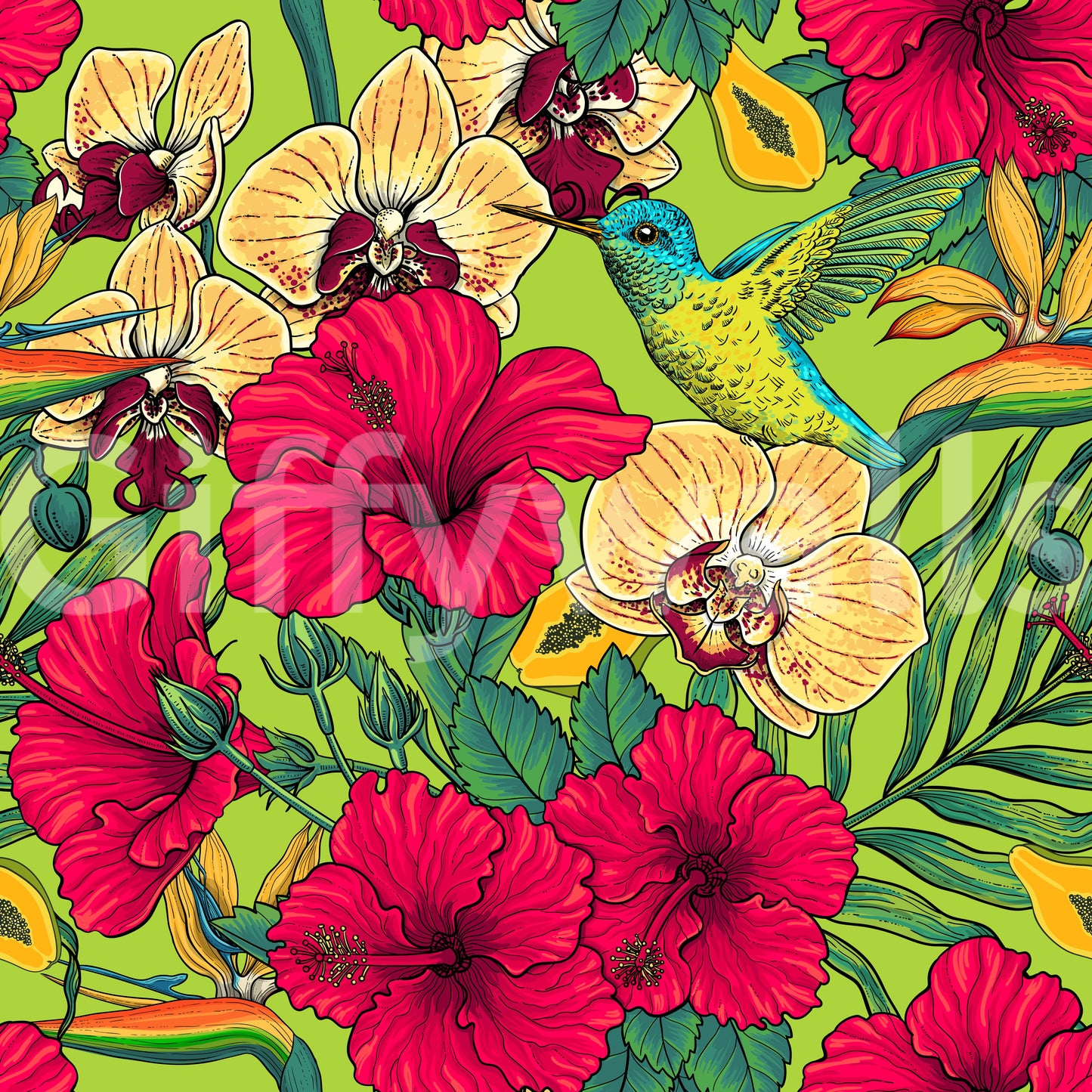 Bright hummingbird and orchid pattern summer garden wallpaper., GD9836