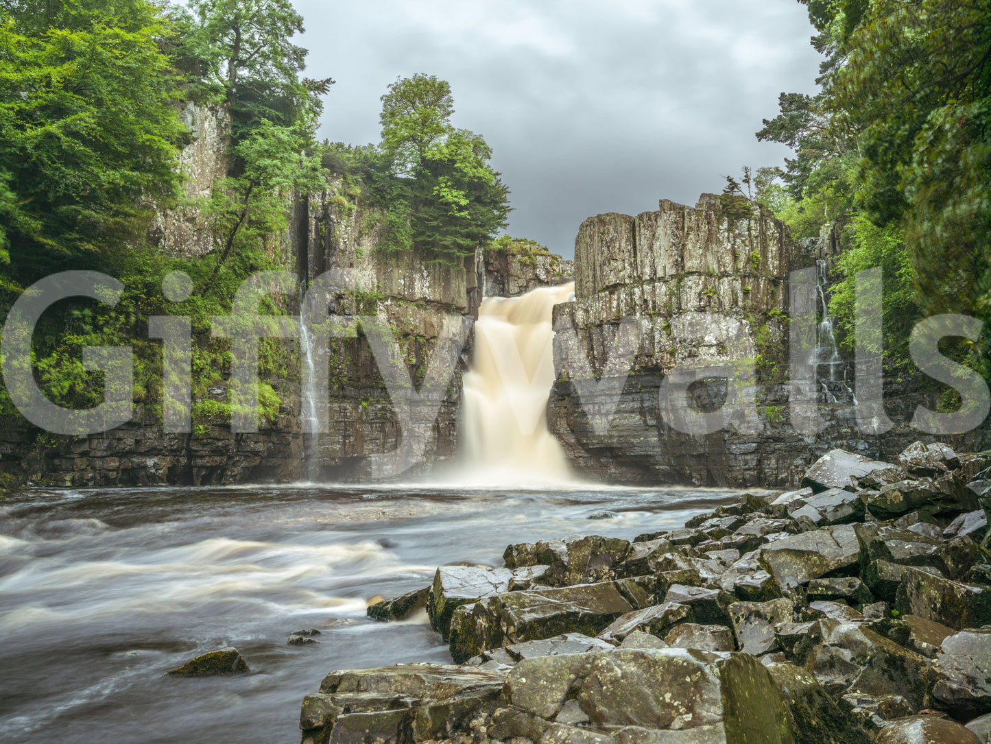 Nature mural with brown water river and green trees under a cloudy grey sky.