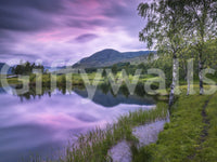 Alpine mountain and lake wall mural with green grass and trees.