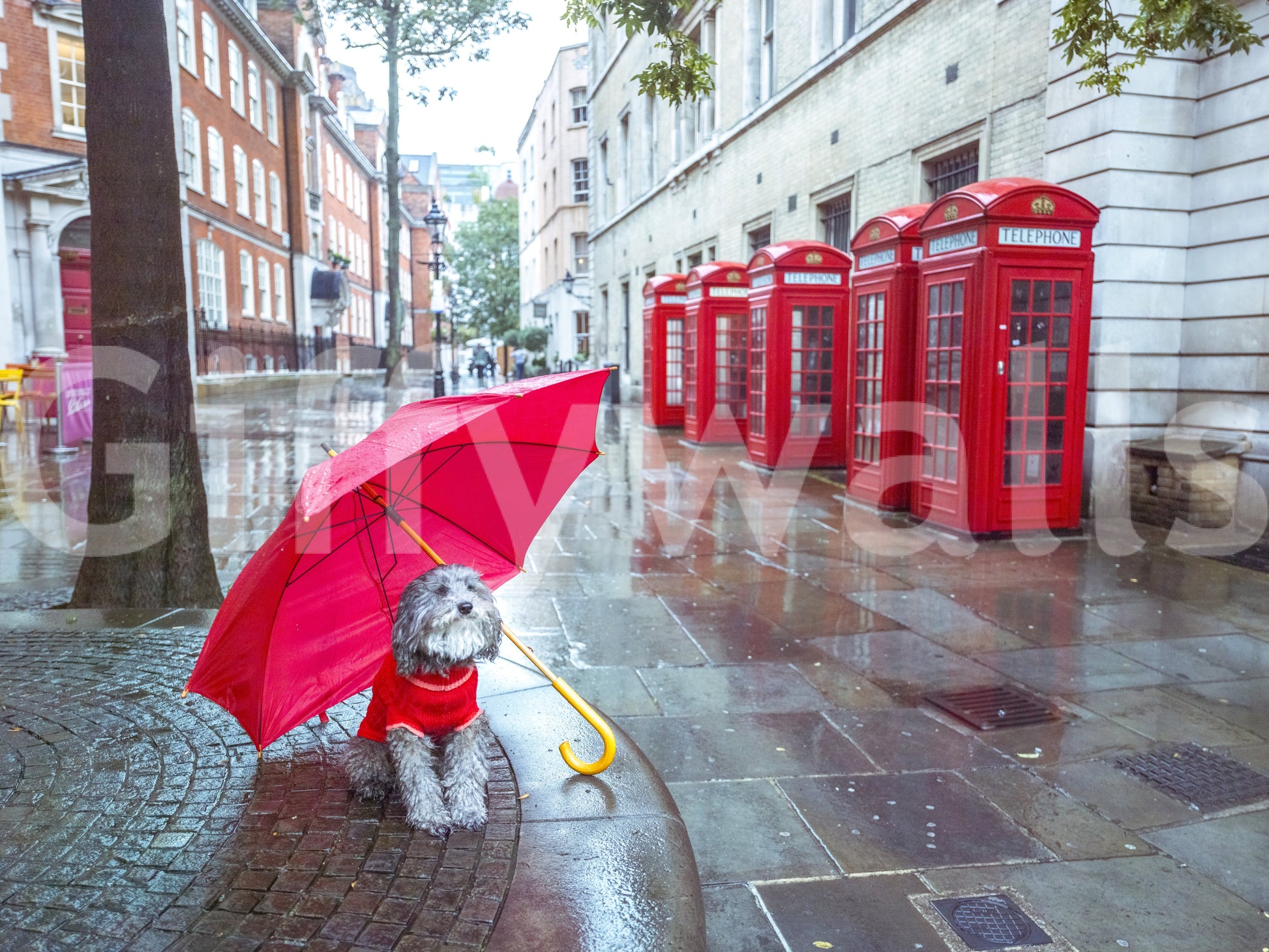 London Calling: A Puddle Pal's Tale Mural for urban wall styling., GD9860