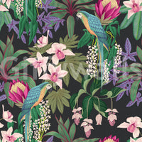 Lush botanical foliage surrounds the birds in this dark Tropical Macaw wallpaper., GD9938