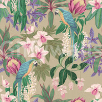 Macaw and orchid wallpaper with tropical parrots and pink florals., GD10013