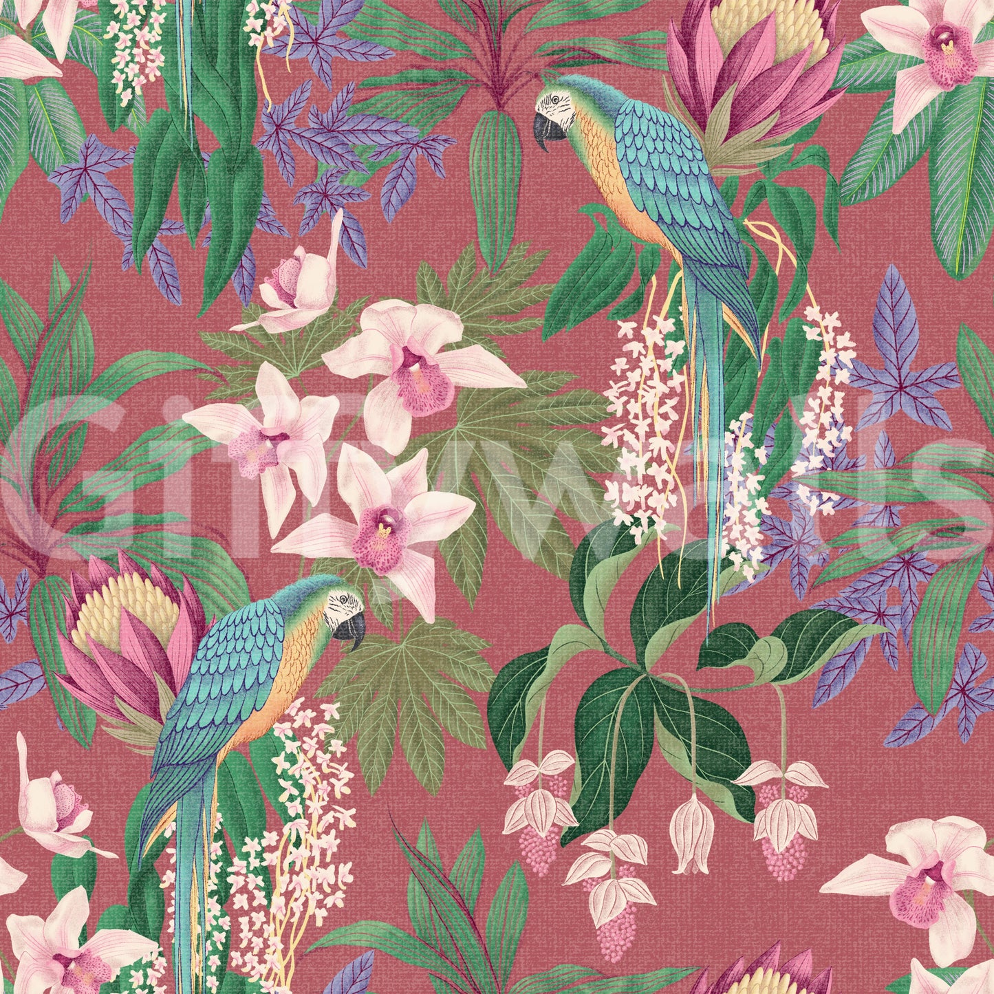 Tropical macaw and orchid wallpaper on dusty pink ground. 