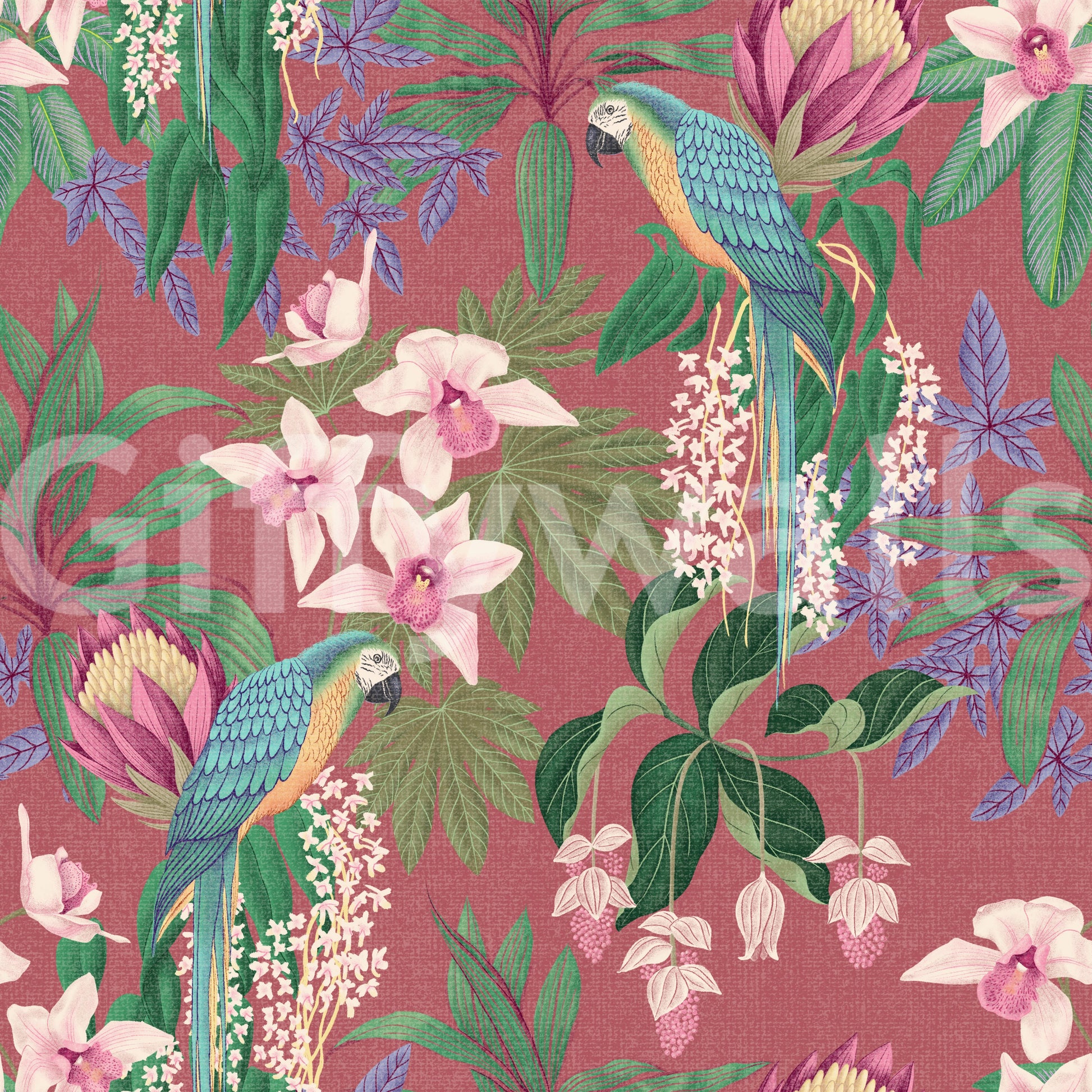 Tropical macaw and orchid wallpaper on dusty pink ground. 