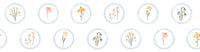 Country cottage wildflower medallion wallpaper with white base. 