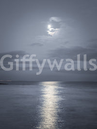 The moonlit ocean wall mural in Blue and grey colour tones.