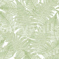 Botanical wallscapes fern wallpaper with white background., GD10210