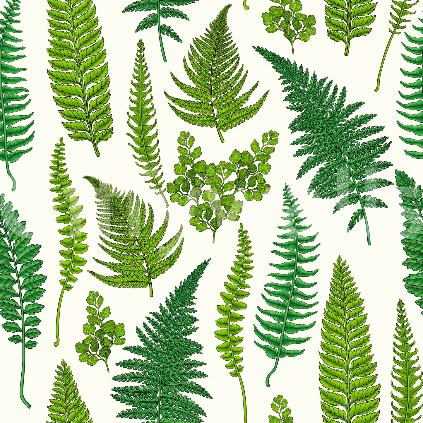 Ferns on natural white wallpaper with mixed green fronds and maidenhair clusters., GD10212