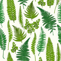 Ferns on natural white wallpaper with mixed green fronds and maidenhair clusters., GD10212