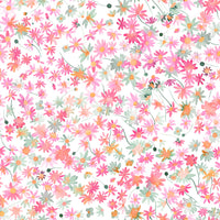 Watercolour daisy wallpaper with pink, coral, and peach blooms pattern., GD10217