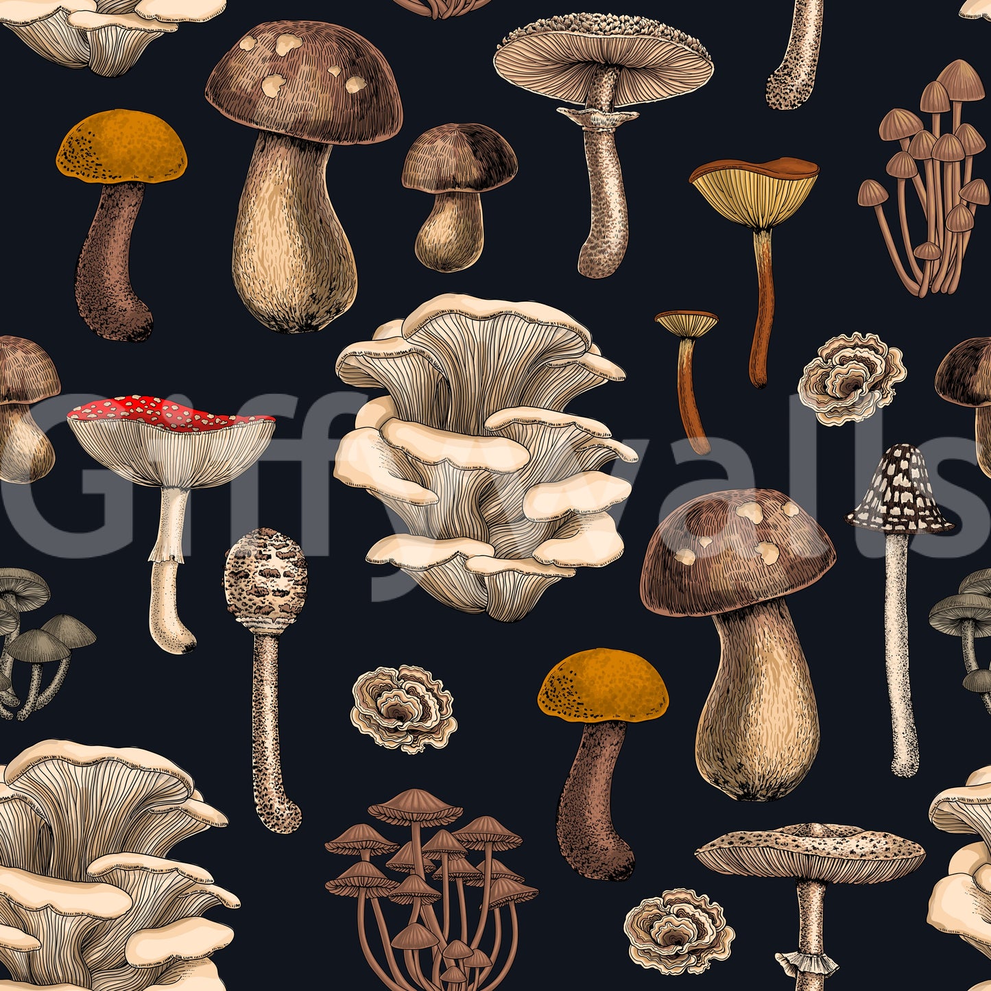 Wild Mushrooms  on graphite black Wallpaper⁠