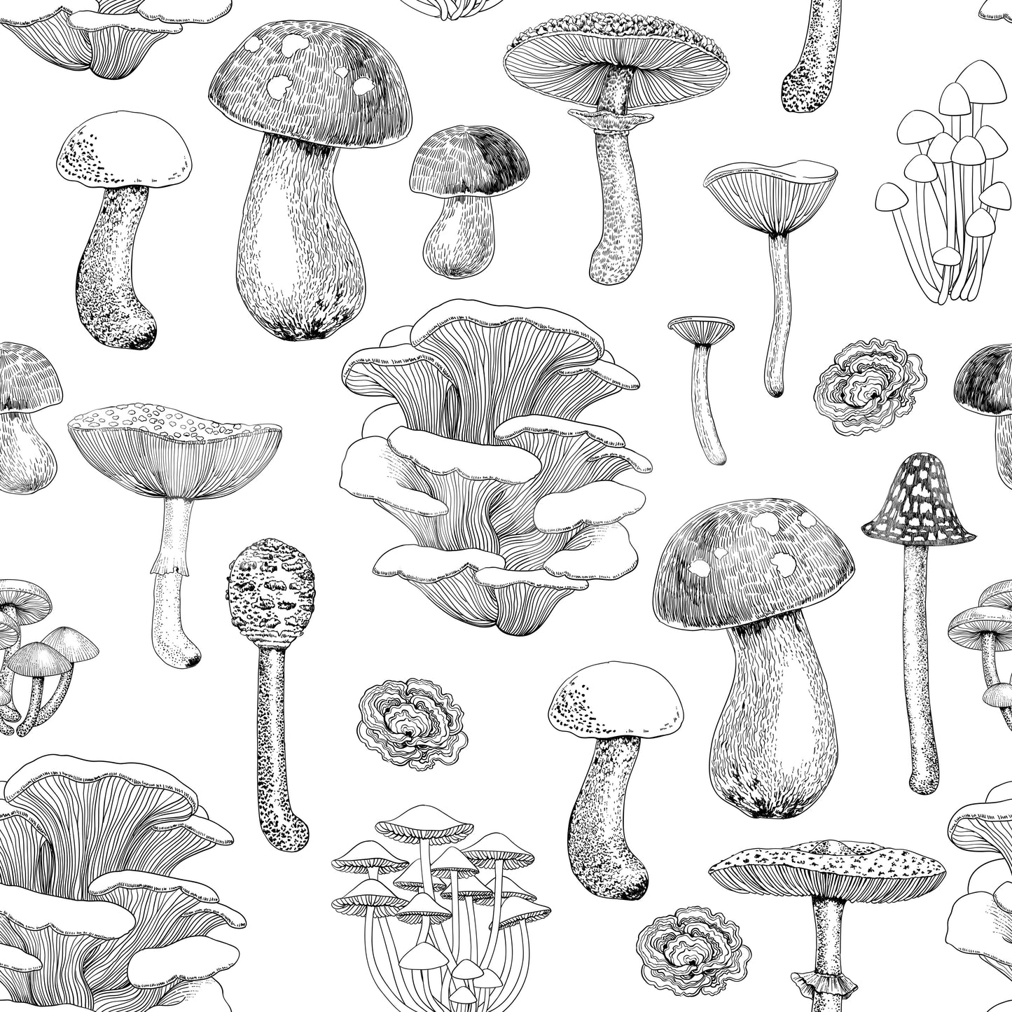 Wild Mushrooms  in black and white Wallpaper⁠