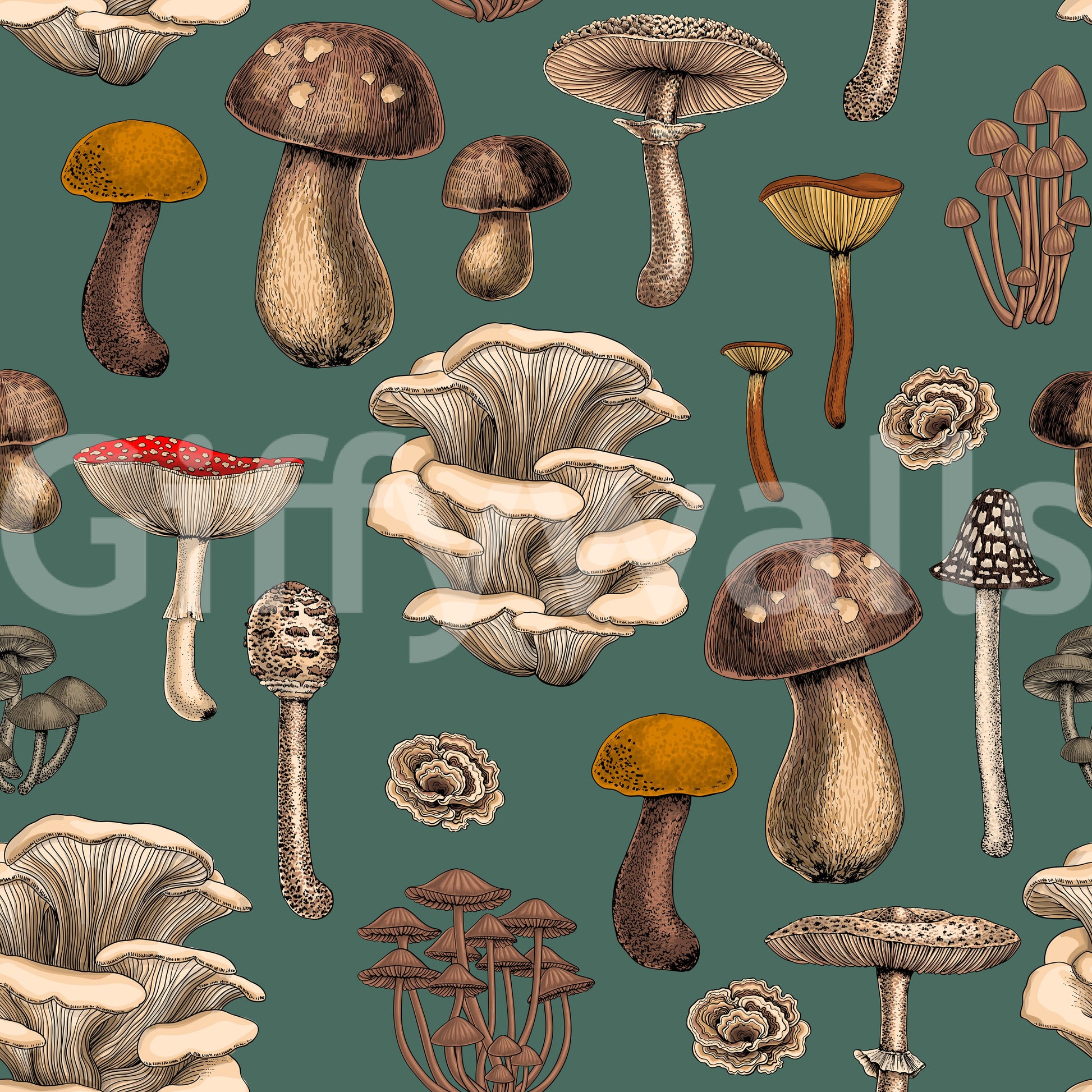 Pine green mushroom wallpaper showing cream caps, brown stems and ochre tops., GD10223