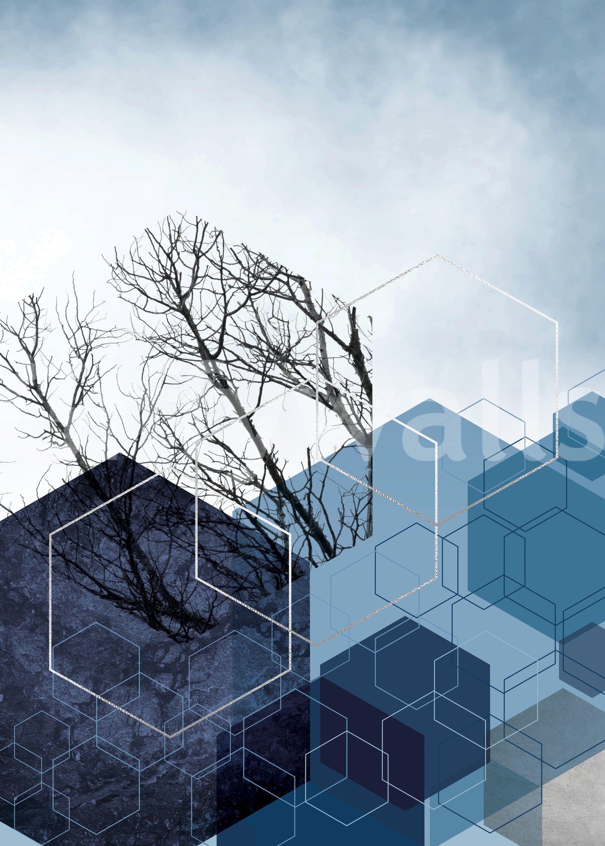 Abstract art Blue Hexagon Winter Branch Wall Mural with sky background., GD10265