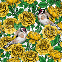 Illustrated yellow roses with European goldfinch birds wallpaper on white background., GD10401