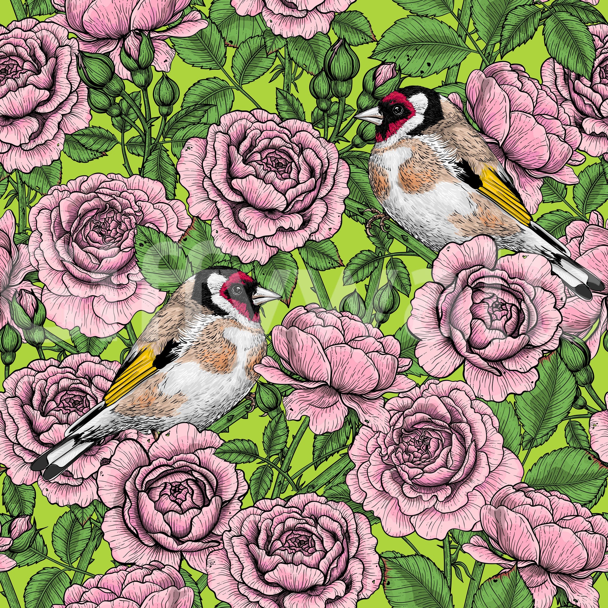 Dark green foliage pattern wallpaper with Illustrated goldfinch birds among soft pink roses., GD10402