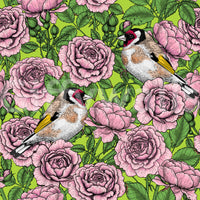 Dark green foliage pattern wallpaper with Illustrated goldfinch birds among soft pink roses., GD10402