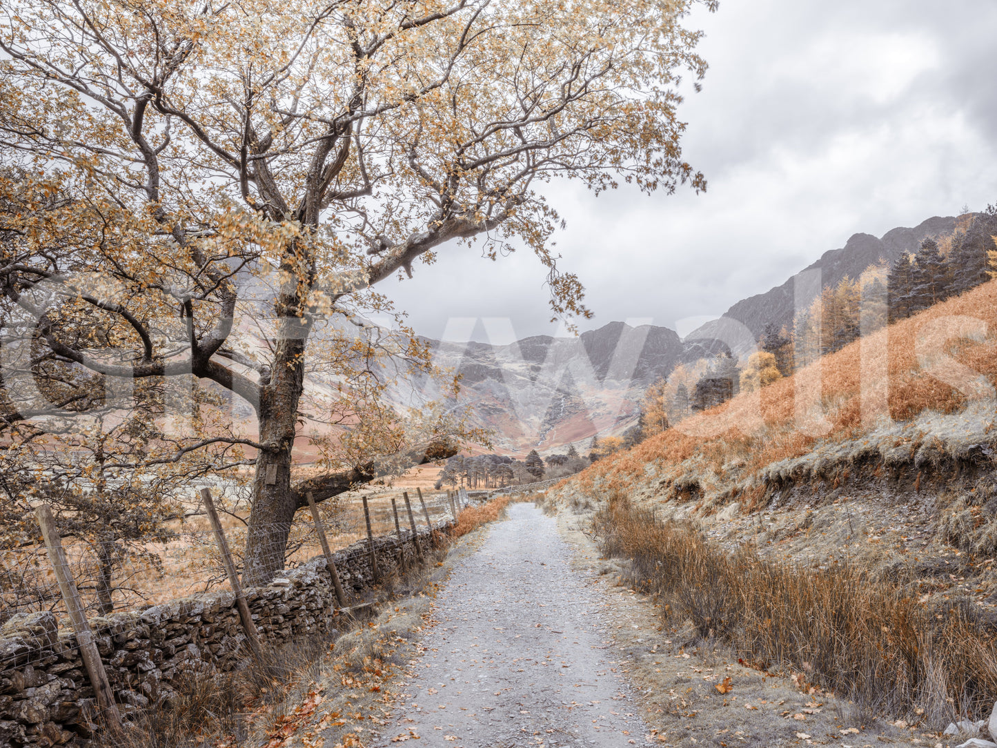 Golden valley trail wall mural with warm brown and orange tones., GD10430