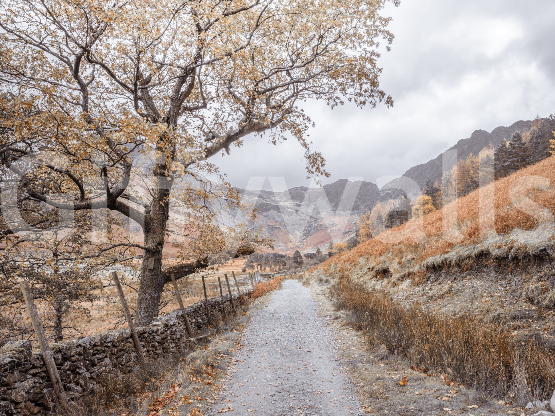 Golden valley trail wall mural with warm brown and orange tones., GD10430