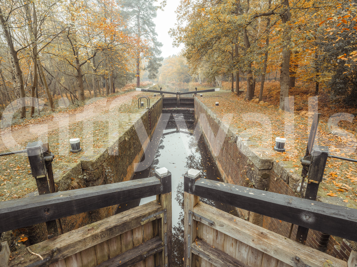 Ember Leaves Silent wall mural with Autumn canal landscape texture., GD10443