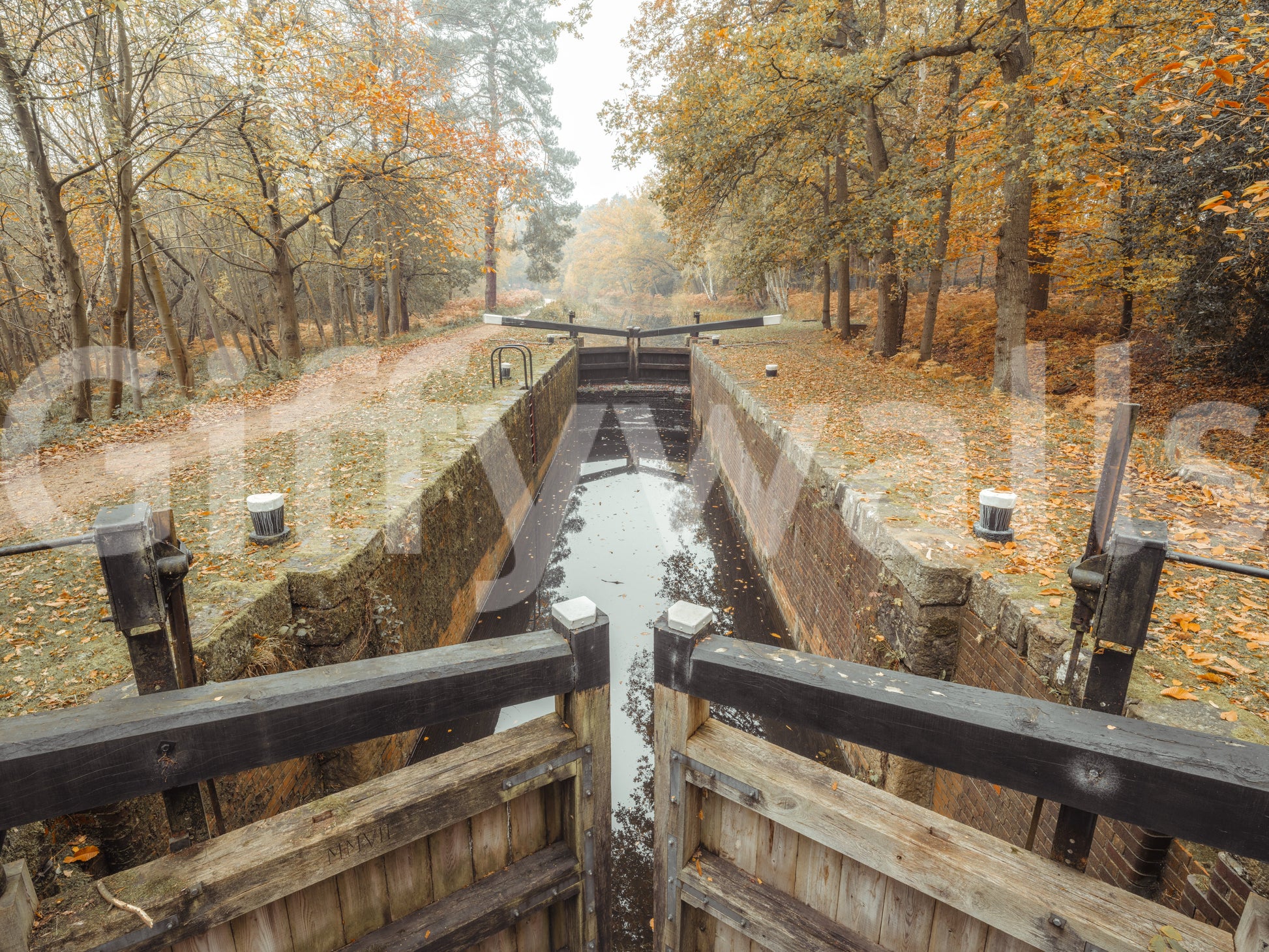 Ember Leaves Silent wall mural with Autumn canal landscape texture., GD10443