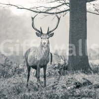 Woodland Sentinel wall mural with monochrome grey and charcoal tone., GD10444