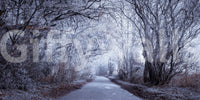 Winter's Enchanted Way wall mural with icy blue and white frost tones., GD10445
