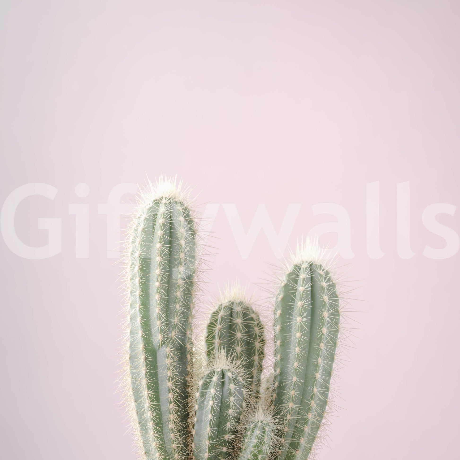 Cactus desert spire wall mural with Soft lavender-pink base colour., GD10455